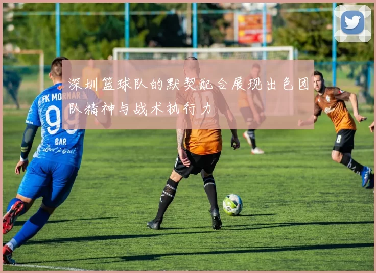 深圳篮球队的默契配合展现出色团队精神与战术执行力