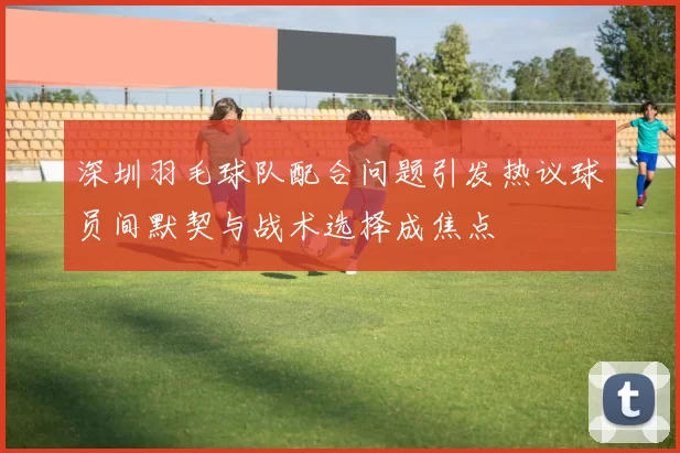 深圳羽毛球队配合问题引发热议球员间默契与战术选择成焦点