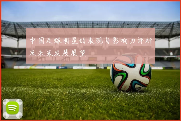 中国足球明星的表现与影响力评析及未来发展展望