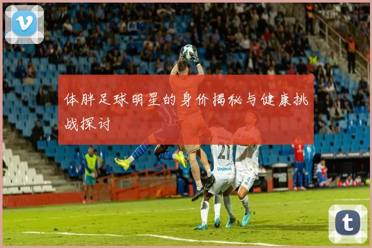 体胖足球明星的身价揭秘与健康挑战探讨