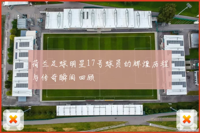 荷兰足球明星17号球员的辉煌历程与传奇瞬间回顾