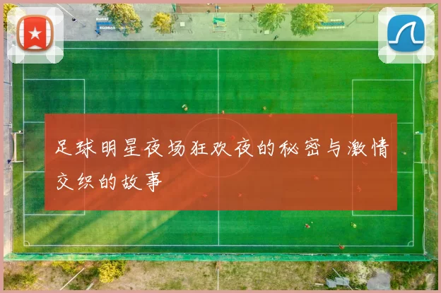 足球明星夜场狂欢夜的秘密与激情交织的故事