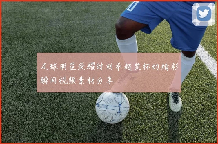 足球明星荣耀时刻举起奖杯的精彩瞬间视频素材分享