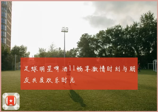 足球明星啤酒1l畅享激情时刻与朋友共度欢乐时光