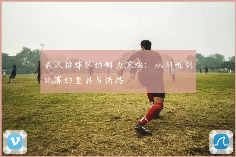 武汉排球队的耐力探秘：从训练到比赛的坚持与拼搏