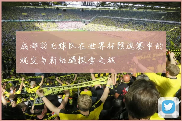 成都羽毛球队在世界杯预选赛中的蜕变与新机遇探索之旅