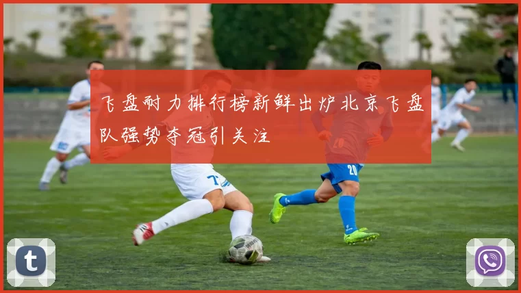 飞盘耐力排行榜新鲜出炉北京飞盘队强势夺冠引关注