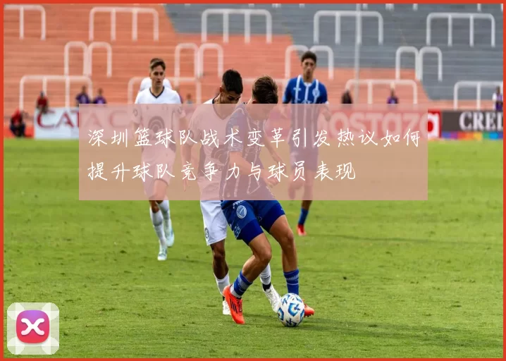 深圳篮球队战术变革引发热议如何提升球队竞争力与球员表现