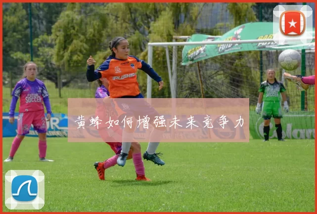 黄蜂如何增强未来竞争力