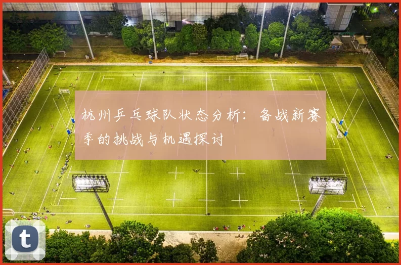 杭州乒乓球队状态分析：备战新赛季的挑战与机遇探讨