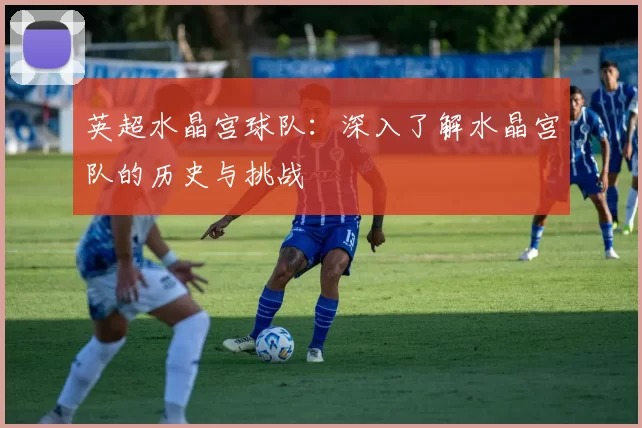 英超水晶宫球队：深入了解水晶宫队的历史与挑战