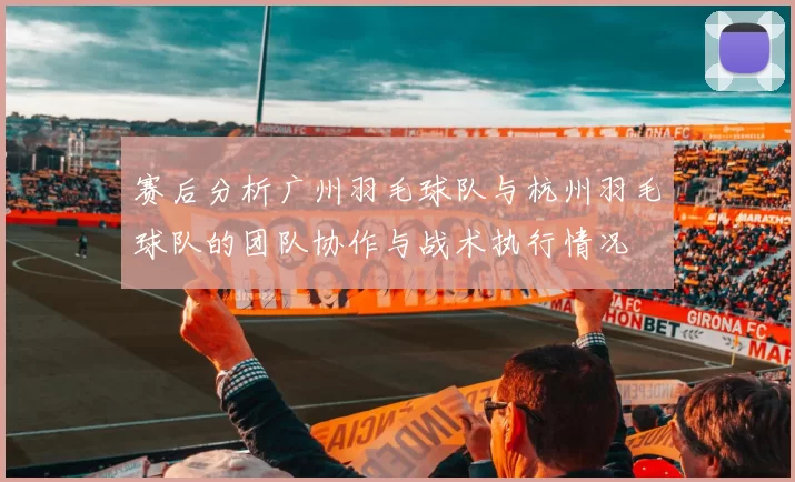 赛后分析广州羽毛球队与杭州羽毛球队的团队协作与战术执行情况
