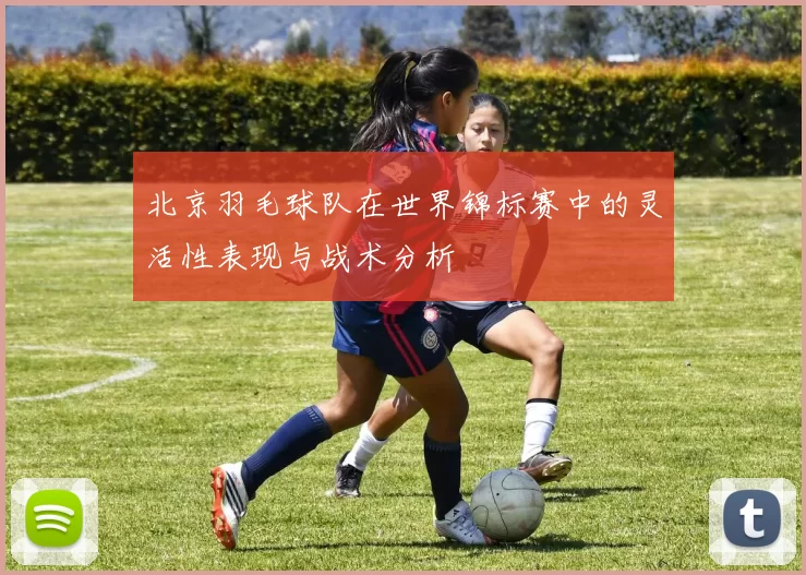 北京羽毛球队在世界锦标赛中的灵活性表现与战术分析