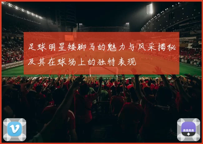 足球明星矮脚马的魅力与风采揭秘及其在球场上的独特表现