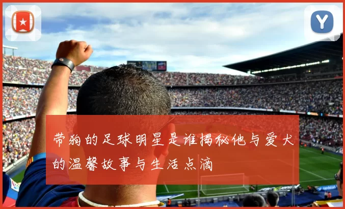 带狗的足球明星是谁揭秘他与爱犬的温馨故事与生活点滴