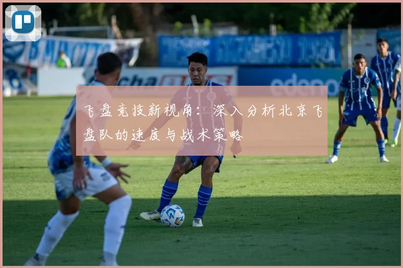 飞盘竞技新视角：深入分析北京飞盘队的速度与战术策略