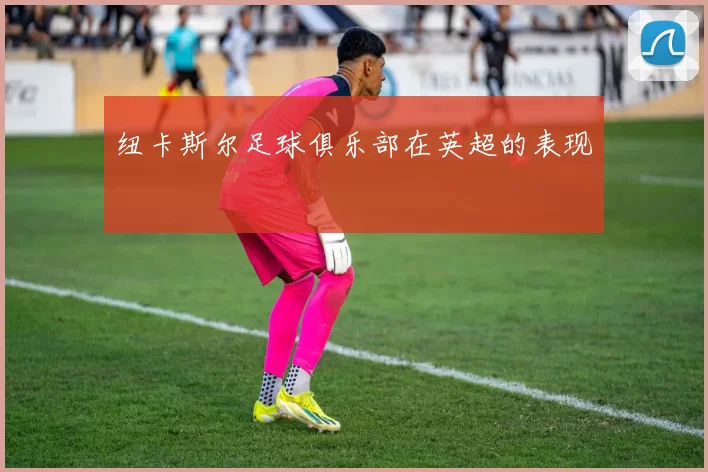 纽卡斯尔足球俱乐部在英超的表现