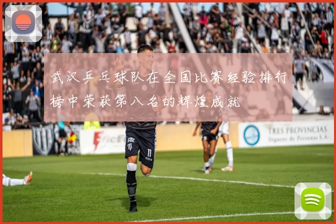 武汉乒乓球队在全国比赛经验排行榜中荣获第八名的辉煌成就