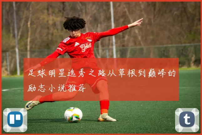 足球明星选秀之路从草根到巅峰的励志小说推荐