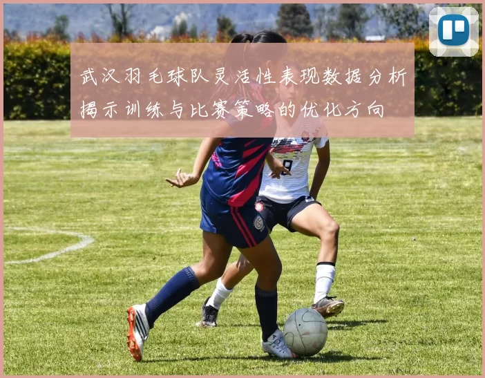 武汉羽毛球队灵活性表现数据分析揭示训练与比赛策略的优化方向