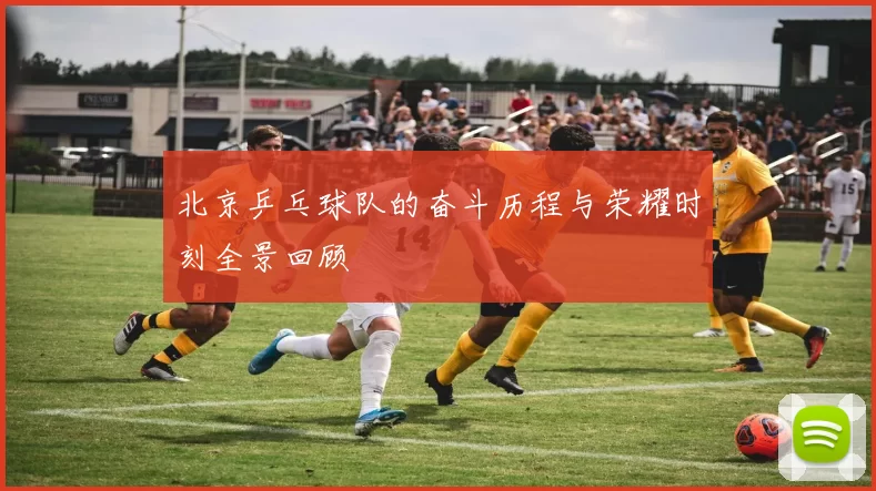 北京乒乓球队的奋斗历程与荣耀时刻全景回顾
