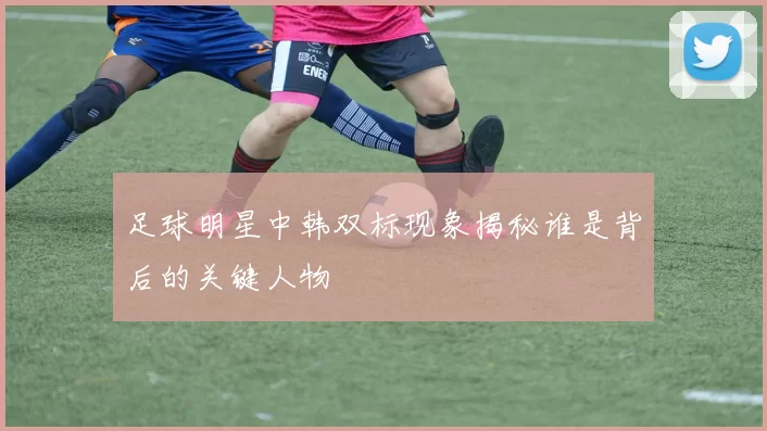 足球明星中韩双标现象揭秘谁是背后的关键人物
