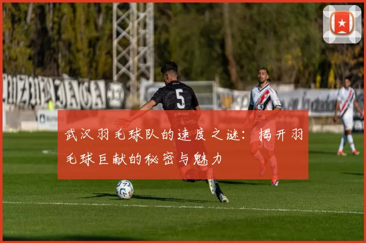 武汉羽毛球队的速度之谜：揭开羽毛球巨献的秘密与魅力