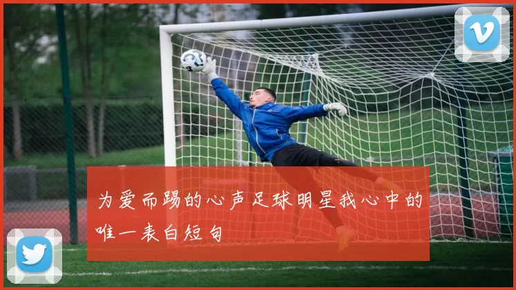 为爱而踢的心声足球明星我心中的唯一表白短句