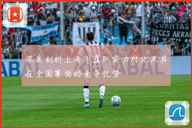深度剖析上海飞盘队实力对比及其在全国赛场的竞争优势