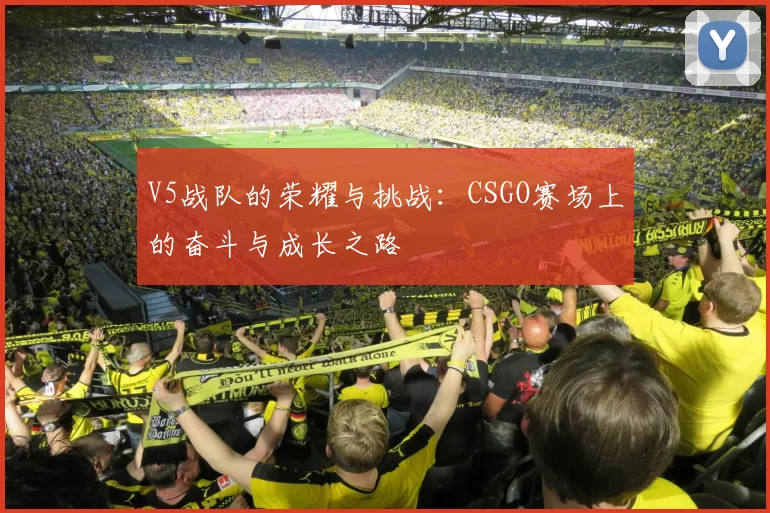 V5战队的荣耀与挑战：CSGO赛场上的奋斗与成长之路