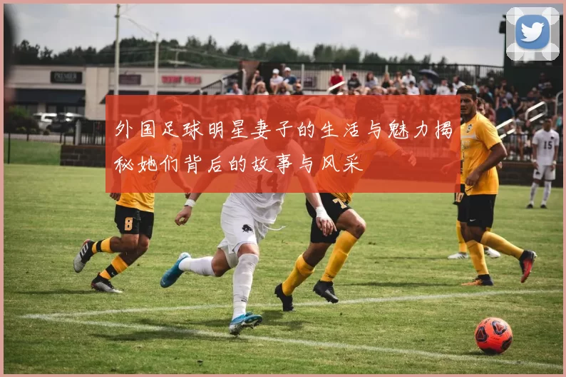 外国足球明星妻子的生活与魅力揭秘她们背后的故事与风采