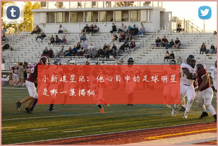 小新追星记：他心目中的足球明星是哪一集揭秘