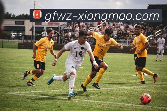 熊猫体育APP 体育赛事宣传图